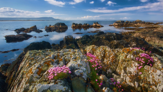 Un séminaire d’entreprise sur mesure en Irlande pour créer du lien et renforcer la cohésion de vos équipes