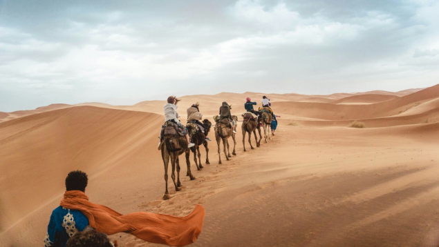  Séminaire au Maroc : convention, voyage incentive et team building sous le soleil nord-africain
