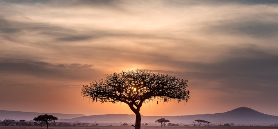 Voyage d’entreprise en Tanzanie : récompenser, rassembler, inspirer autrement