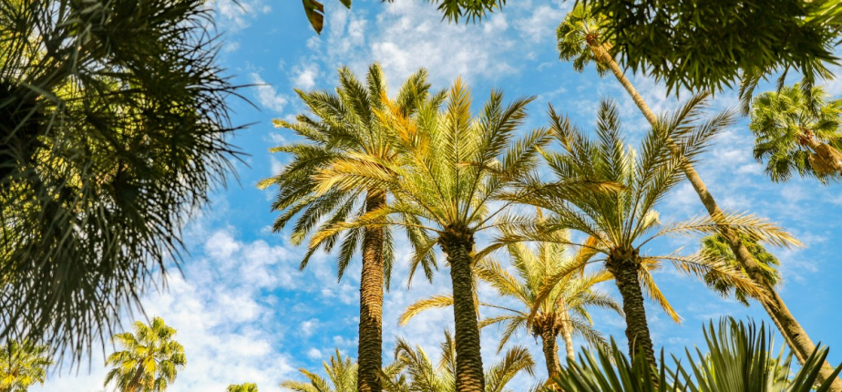 Marrakech : Un voyage incentive sur mesure pour renforcer la cohésion d'équipe et motiver vos collaborateurs au Maroc
